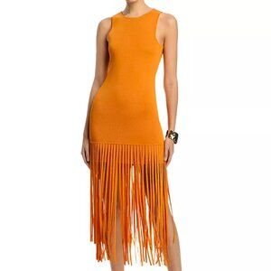 Toccin Margaux Fringe Dress